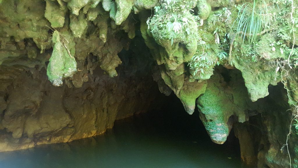 Waitomo Caves