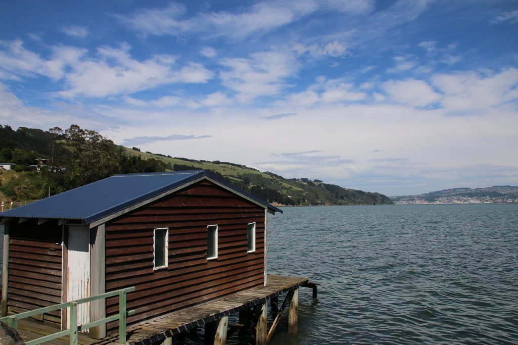 Room with a view
