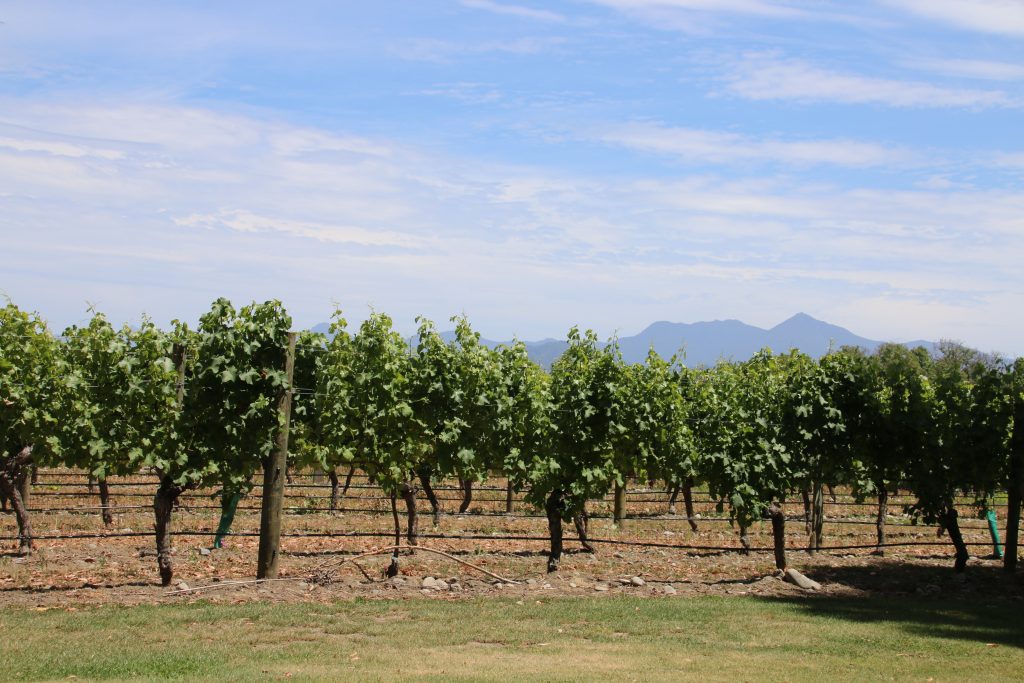 Marlborough