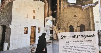 Syrien – på vej tilbage efter ragnarok